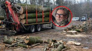 Perła polskiego przemysłu w tarapatach. „Drewno w Niemczech było tańsze”