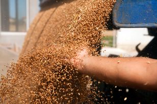 Resort pokazał dane. Oto ile żywności z Ukrainy zaimportowano do Polski