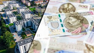 Wraca temat podatku katastralnego. „Nie jest to kara za zaradność” [OPINIA]