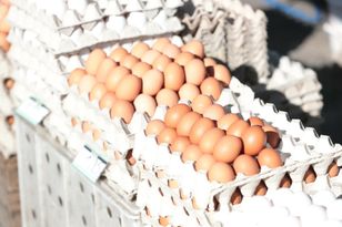 Przywrócili cła na jaja z Ukrainy. Efekty już widać