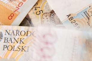 Złoty najsilniejszy od miesiąca. Oto co się stało z polską walutą