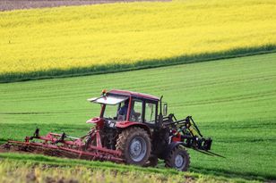 Emerytura dla rolnika. Tyle wynosi dla osób z 20 i 25-letnim stażem