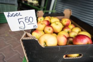 Polskie owoce rządzą w Europie. Jesteśmy w czołówce