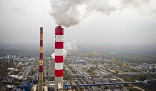 Rosja wpędziła firmy w poważne problemy. Grozi nam „scenariusz poważniejszy niż irlandzki”