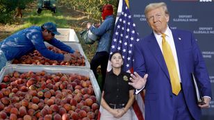 „Albo imigracja, albo kryzys”. Ekonomista o USA pod rządami Trumpa