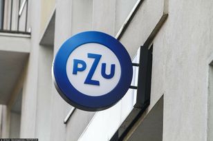 Zysk Grupy PZU w 2024 r. ze spadkiem. Znamy szczegóły