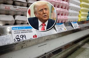 Kryzys jajeczny w USA. Ceny wystrzeliły, rośnie przemyt. „Trump poszuka winnego”