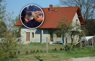 Chciała mieć nowy piec, wpadła w pułapkę. „Nie wiem, jak przeżyłam zimę”