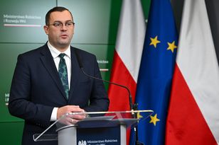 Embargo na ukraińskie zboże. Minister stawia sprawę jasno