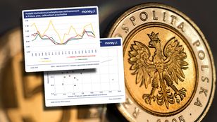 Polska to podatkowe eldorado? Nie tylko zagraniczne firmy płacą mało [ANALIZA]