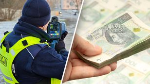 Żyła złota dla budżetu? Oto cała prawda o mandatach w Polsce