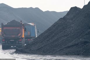 Afera węglowa. Policzyli, ile kosztowała decyzja rządu Morawieckiego