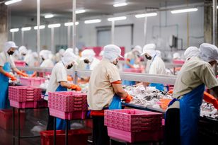 Producent sałatek kończy działalność. 200 osób straci pracę